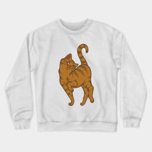 Begging for Pettings--Orange Tabby Style Crewneck Sweatshirt